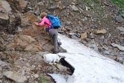 Pizzo Pradella (2626 m) con tanti bei fiori, salito da Valgoglio il 9 luglio 2016 - FOTOGALLERY